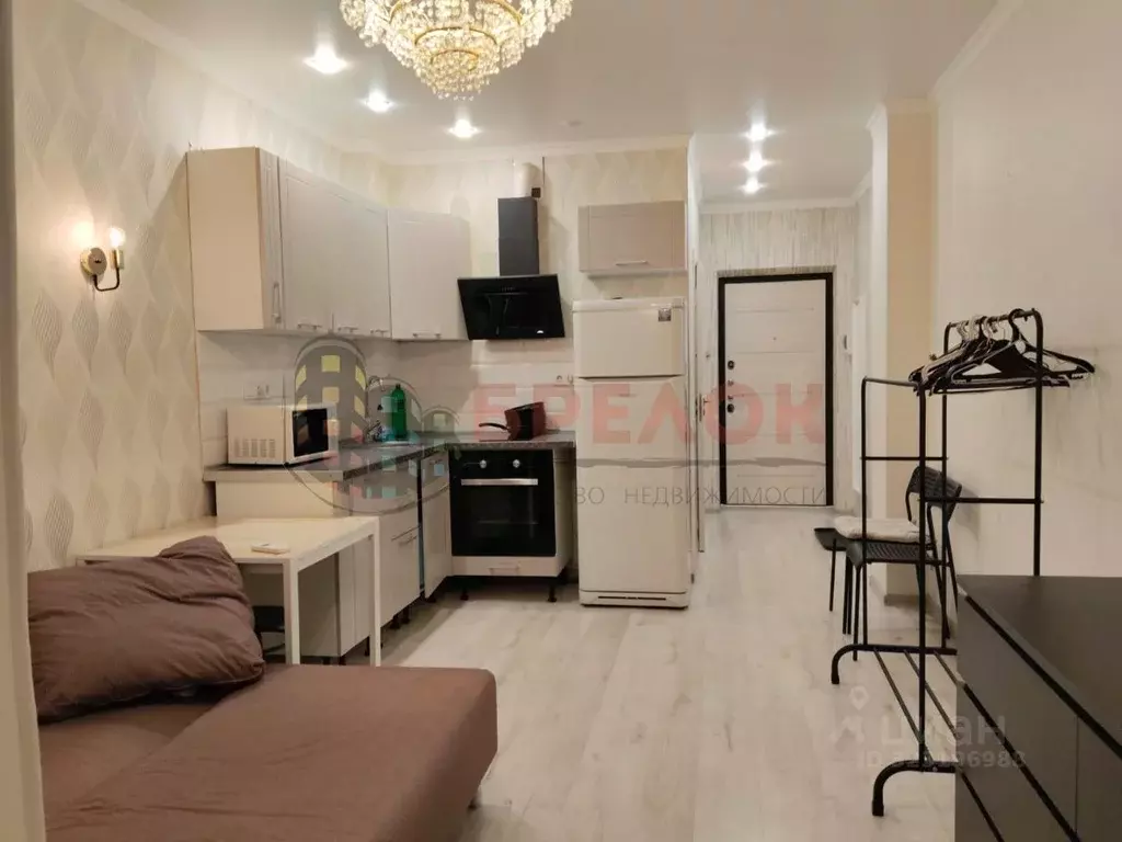 Студия Ростовская область, Ростов-на-Дону ул. Еляна, 68 (21.7 м) - Фото 1