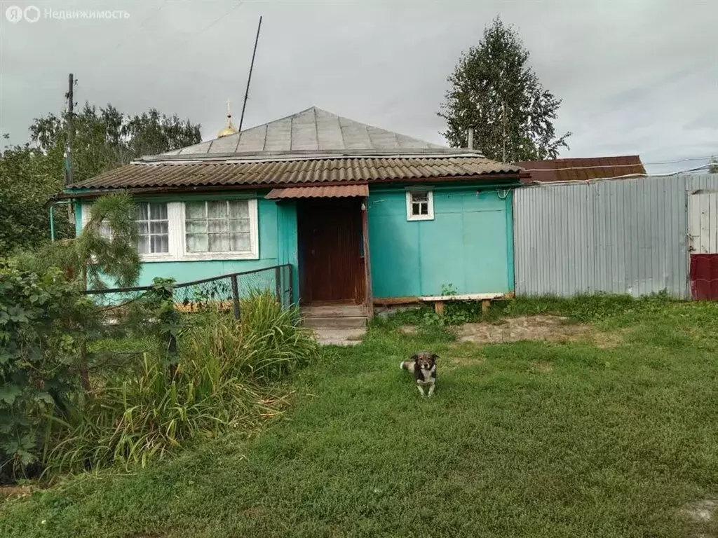 Дом в село Талицкий Чамлык, Советская улица, 15 (60 м) - Фото 1