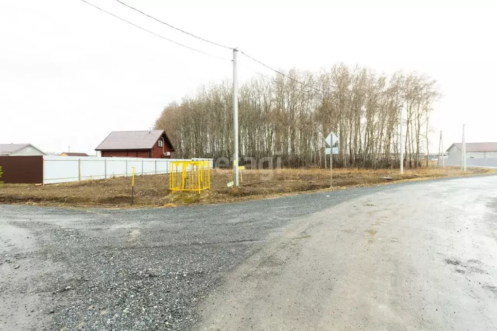 Участок в Тюменская область, Тюменский муниципальный округ, с. Кулига ... - Фото 1