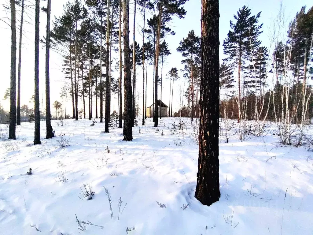 Участок в Забайкальский край, Читинский район, Смоленское с/пос  (18.0 ... - Фото 2