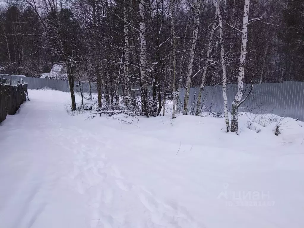 Участок в Нижегородская область, Саров Красная звезда СНТ, 7-й уч, 208 ... - Фото 1