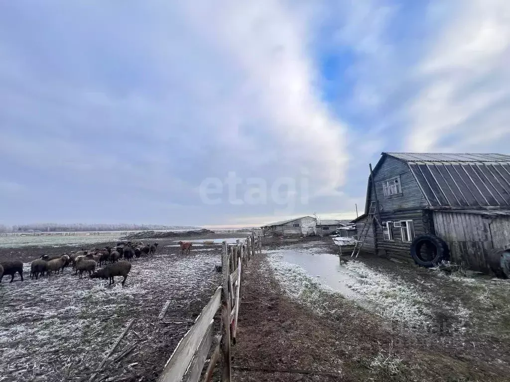Участок в Вологодская область, пос. Дубровское  (6200.0 сот.) - Фото 1