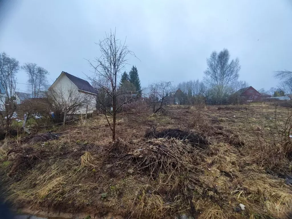 Участок в Московская область, Солнечногорск городской округ, д. Новое ... - Фото 1