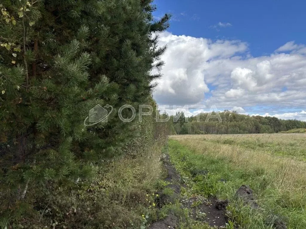 Участок в Тюменская область, Ялуторовский муниципальный округ, с. ... - Фото 2