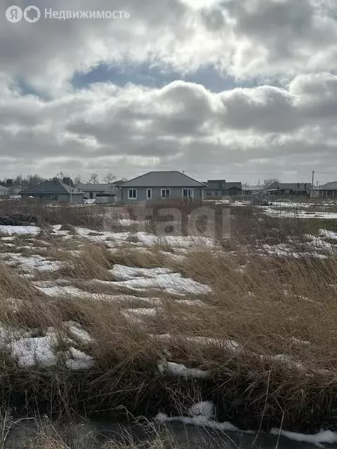 Участок в Калининградская область, Гурьевский муниципальный округ, ... - Фото 1