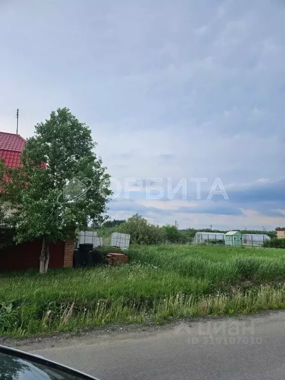 Участок в Тюменская область, Тюменский район, с. Перевалово ул. ... - Фото 0