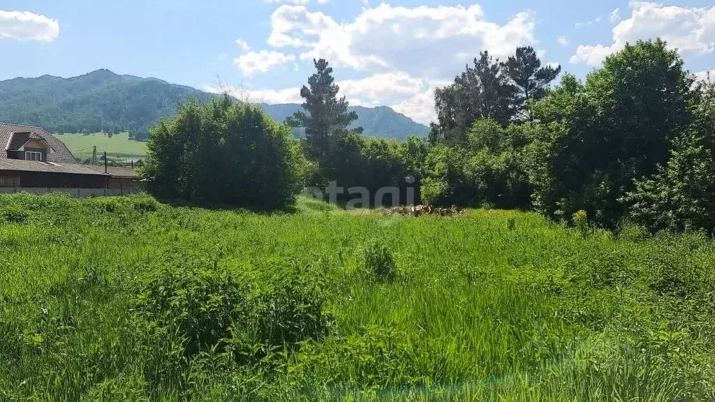 Дом в Алтай, Шебалинский район, с. Черга ул. Чапаева (28 м) - Фото 1