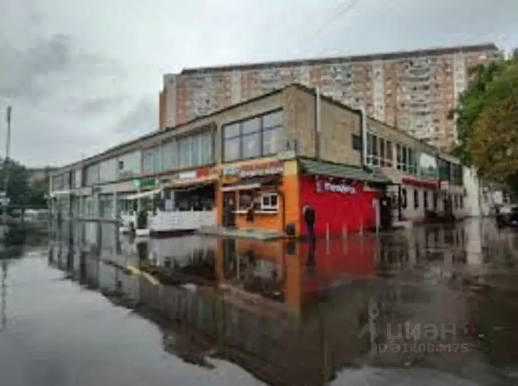 Помещение свободного назначения в Москва Снежная ул., 13к1 (378 м) - Фото 0