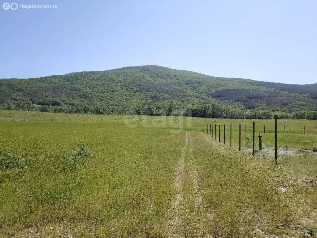 Участок в Краснодарский край, Геленджик (4 м) - Фото 1