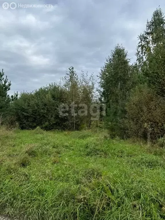 Участок в Майминский район, село Озёрное (20.2 м) - Фото 1