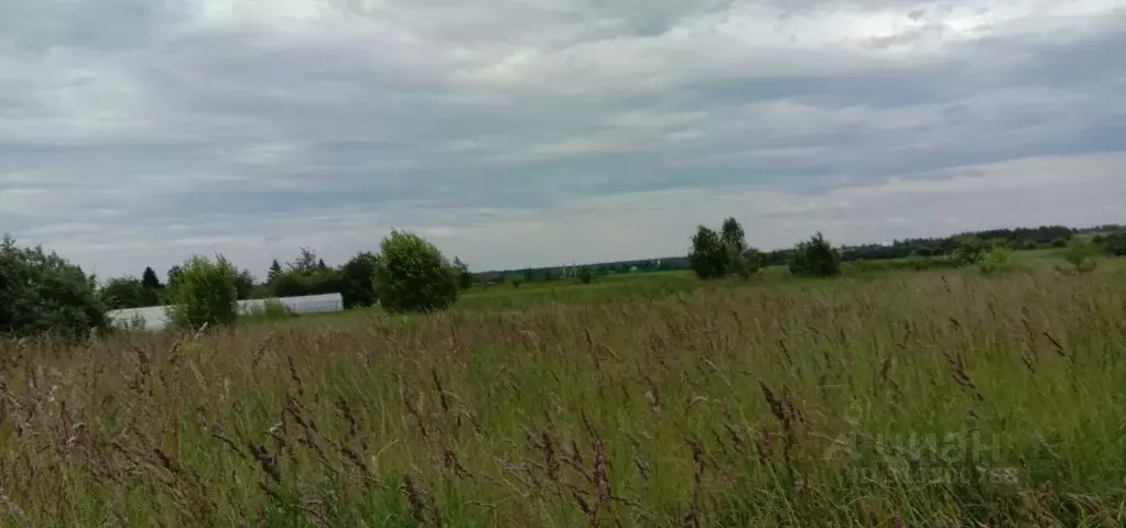 Участок в Владимирская область, Суздальский район, Селецкое ... - Фото 2