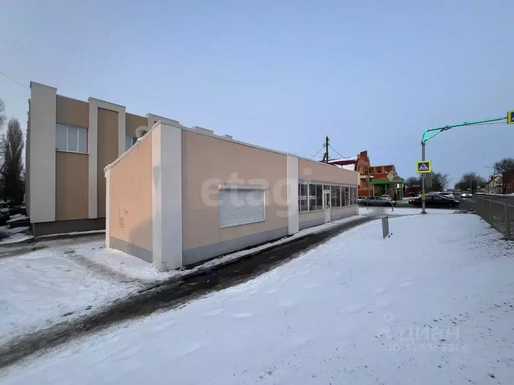 Торговая площадь в Воронежская область, Борисоглебск Северный мкр, 42 ... - Фото 1