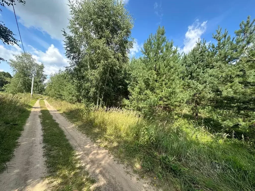 Участок в Тверская область, Калининский муниципальный округ, Тихий ... - Фото 2