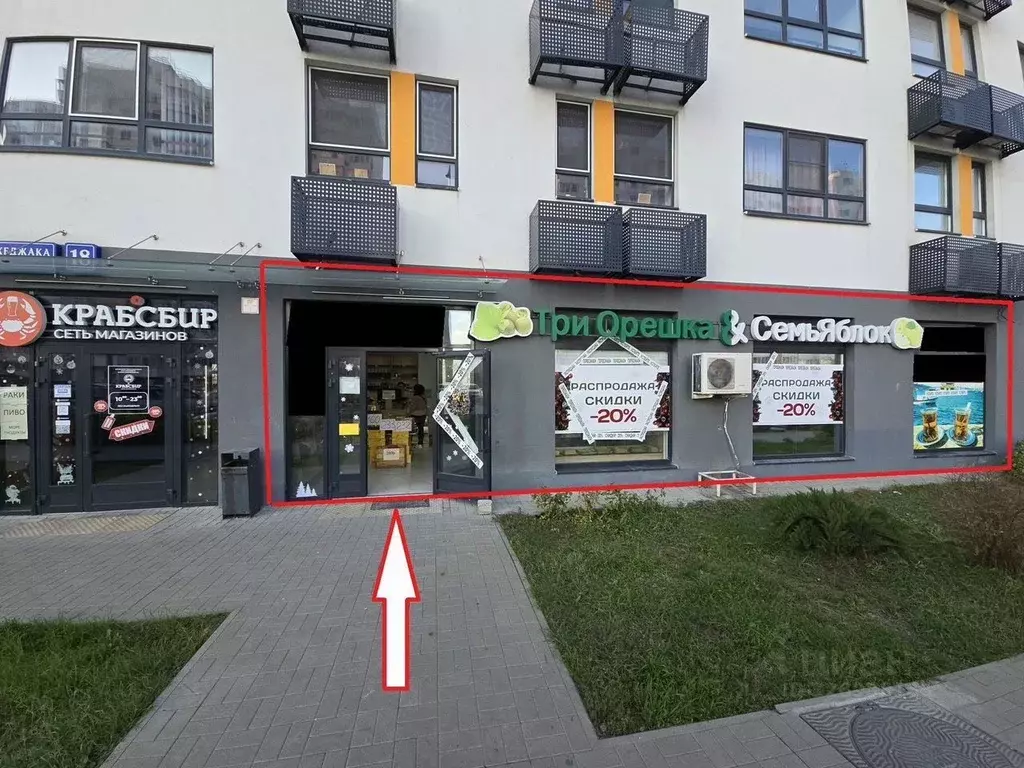 Помещение свободного назначения в Краснодарский край, Новороссийск ул. ... - Фото 1