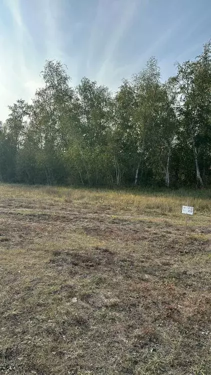 Участок, 10 сот., поселения (ижс) - Фото 1