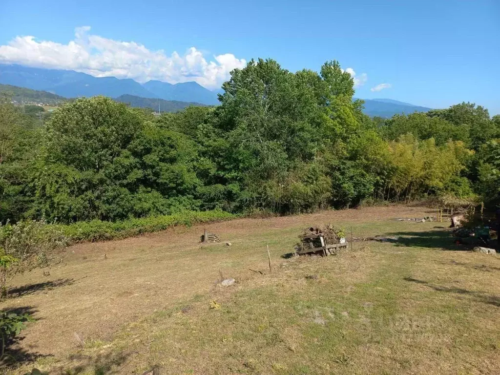 Участок в Краснодарский край, Сочи городской округ, с. Черешня ул. ... - Фото 0