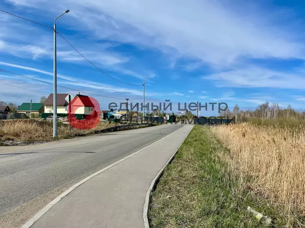 Участок в Тюменская область, Тюмень Царево садовое товарищество, ул. ... - Фото 1