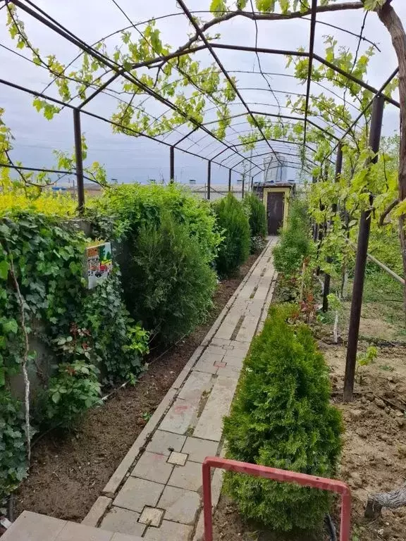 Дом в Дагестан, Дербент  (80 м) - Фото 2