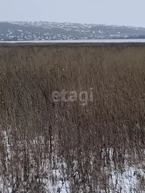Участок в Белгородская область, Белгородский район, Головинское с/пос, ... - Фото 2