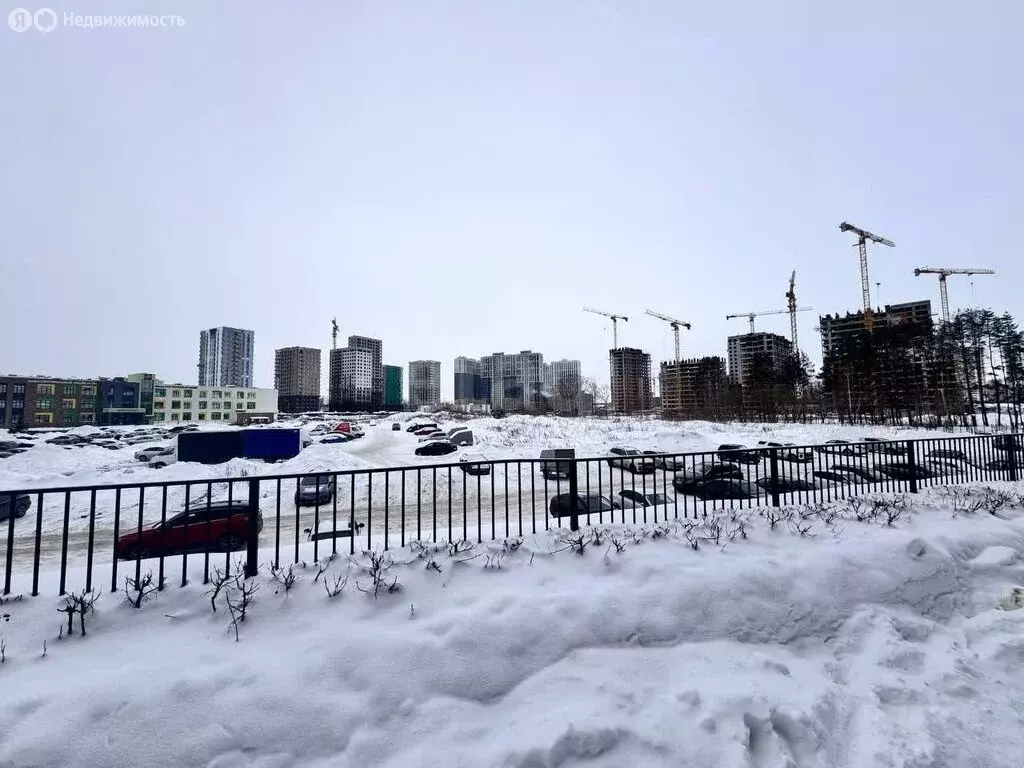 Помещение свободного назначения (42 м) - Фото 2