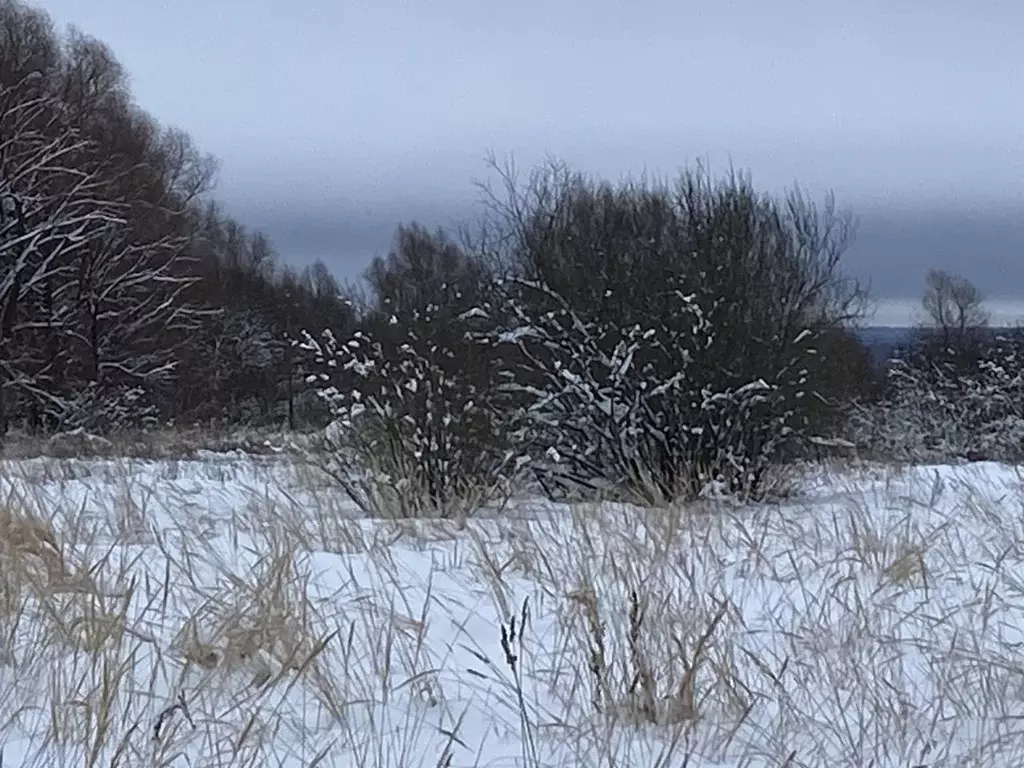 Участок в Московская область, Клин городской округ, д. Еросимово  ... - Фото 1