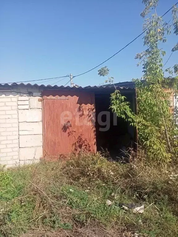 Помещение свободного назначения в Белгородская область, Вейделевка рп ... - Фото 1