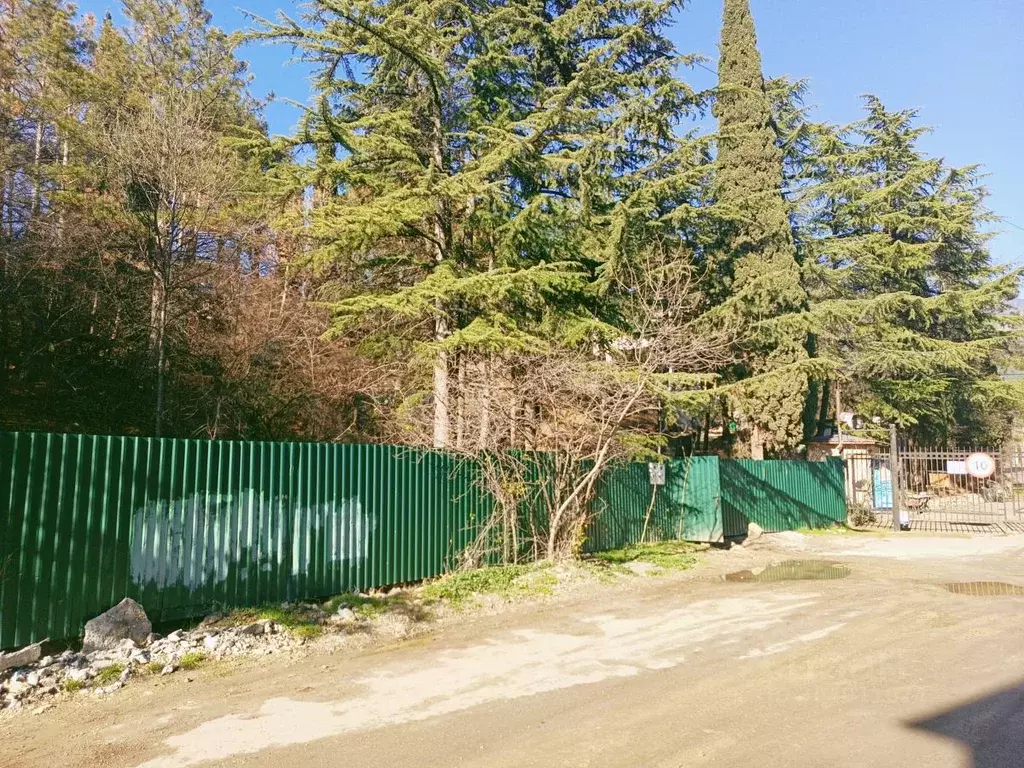 Участок в Крым, Ялта ш. Южнобережное, 49 (10.0 сот.) - Фото 2