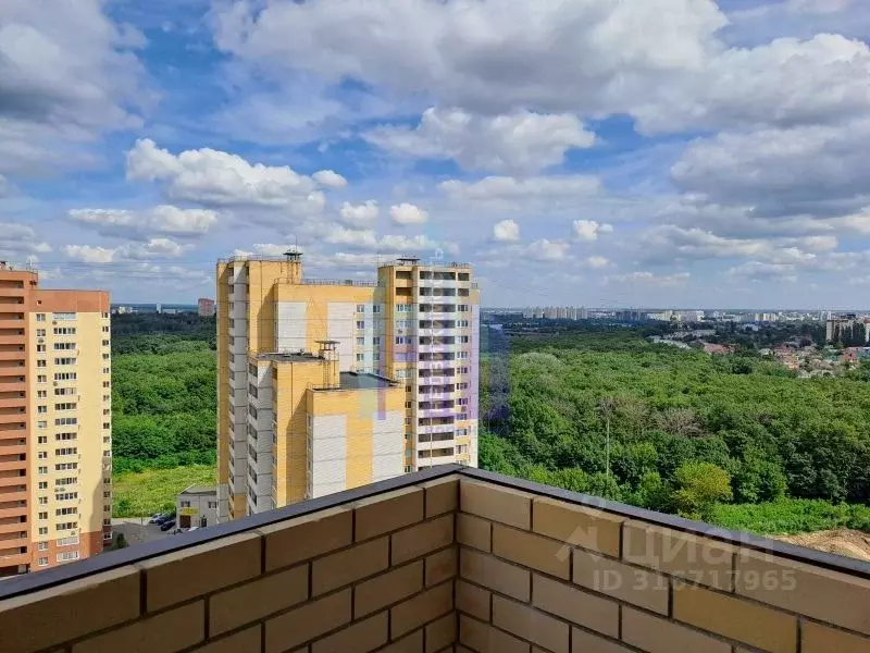 1-к кв. Воронежская область, Воронеж пер. Здоровья, 90Г/1к1 (44.4 м) - Фото 2