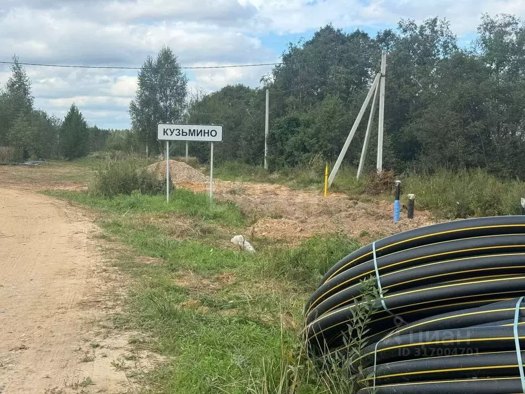 Участок в Костромская область, Красносельский район, Шолоховское ... - Фото 0