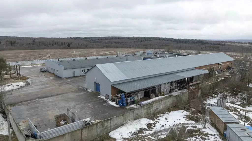 Производственное помещение в Московская область, Дмитровский ... - Фото 1