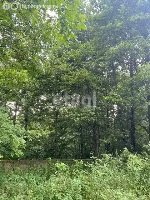 Участок в Горячий Ключ, СТ Кунпанова Поляна (8.1 м) - Фото 1