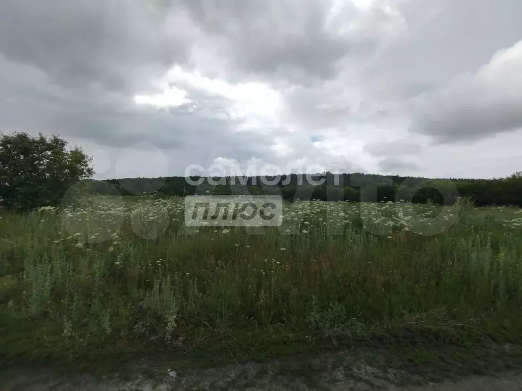Участок 11,5 сот. (ИЖС) - Фото 1