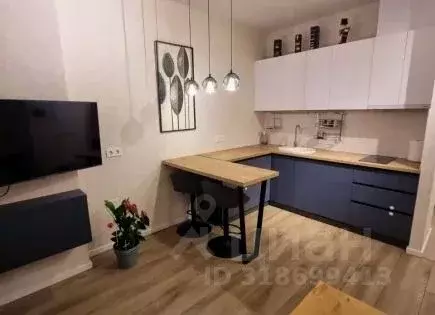 1-к кв. Краснодарский край, Сочи ул. Ленина, 256/6 (29.0 м) - Фото 1