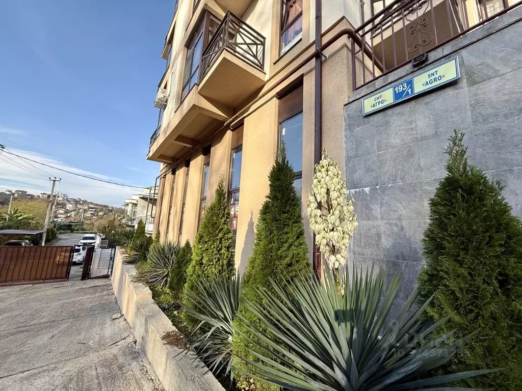 2-к кв. Краснодарский край, Сочи Агро СНТ, 193/1 (37.0 м) - Фото 2