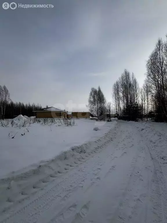 Участок в деревня Кисловка, Еловая улица (7.6 м) - Фото 1