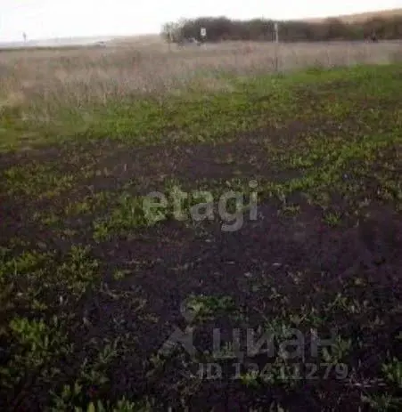 Участок в Белгородская область, Белгородский район, с. Стрелецкое ул. ... - Фото 0