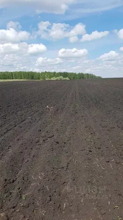 Участок в Свердловская область, Богданович муниципальный округ, с. ... - Фото 0