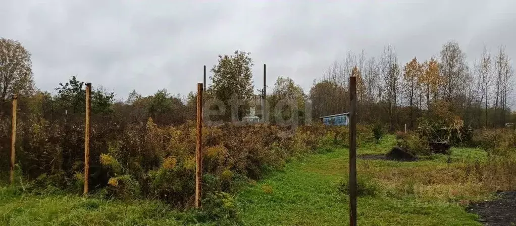 Дом в Ярославская область, Тутаевский муниципальный округ, Восход-5 ... - Фото 2
