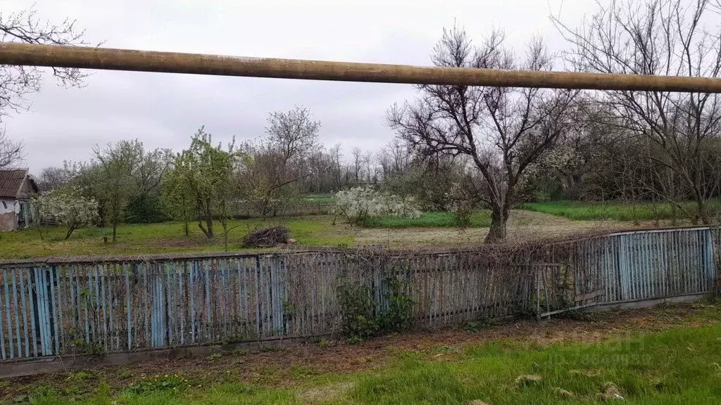 Погода в калининском районе казачка. Хутор лебеди фото. Лебединое участки.