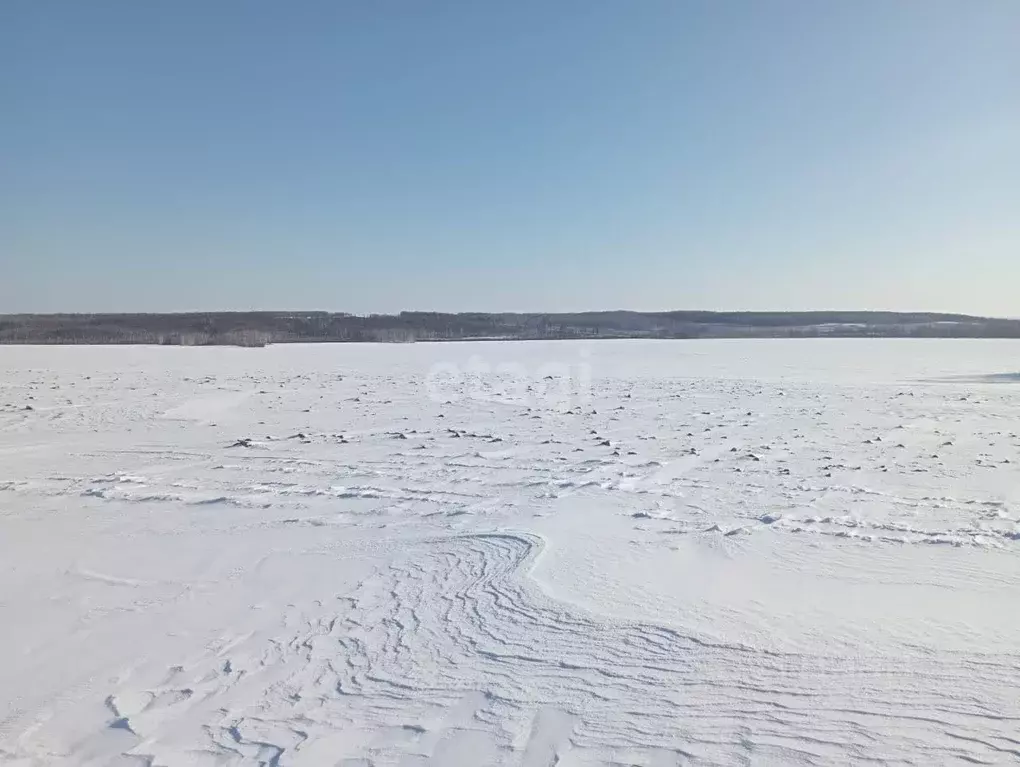 Участок в Амурская область, Благовещенский район, с. Волково  (11.8 ... - Фото 0