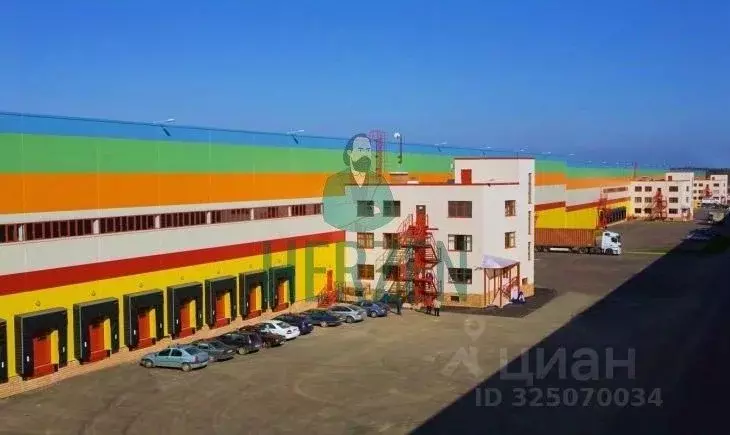 Склад в Московская область, Истра муниципальный округ, д. Давыдовское ... - Фото 1