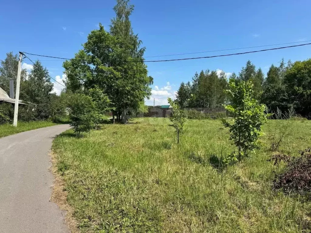 Участок в Воронежская область, Верхнехавский район, с. Малая ... - Фото 1