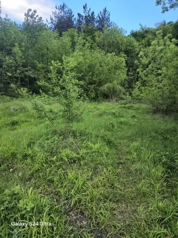 Участок в Крым, Ялта муниципальный округ, Виноградное пгт ул. Красина ... - Фото 1