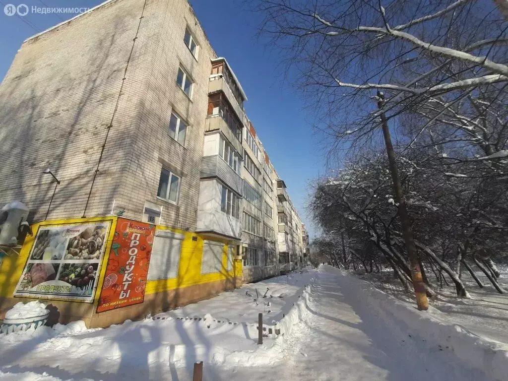 1-комнатная квартира: Кстово, улица Ступишина, 13 (32.4 м) - Фото 1