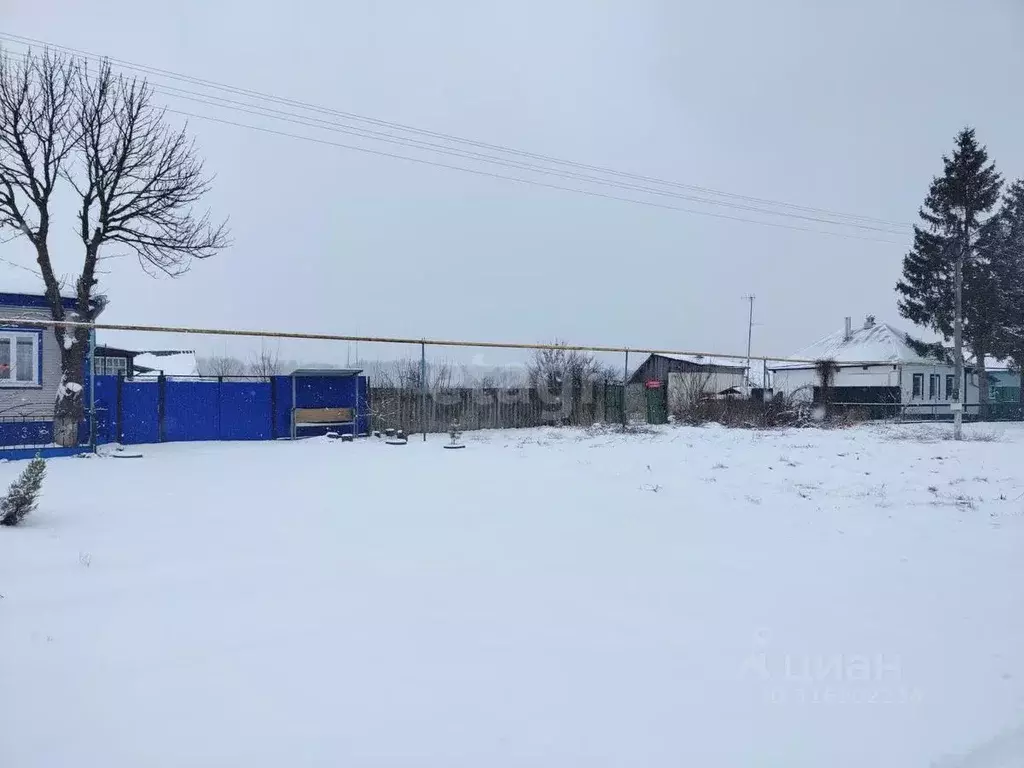 Участок в Белгородская область, Красногвардейский район, ... - Фото 1