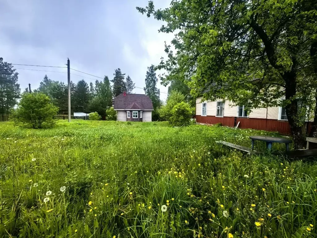 Участок в Ленинградская область, Приозерский район, пос. Мичуринское ... - Фото 1