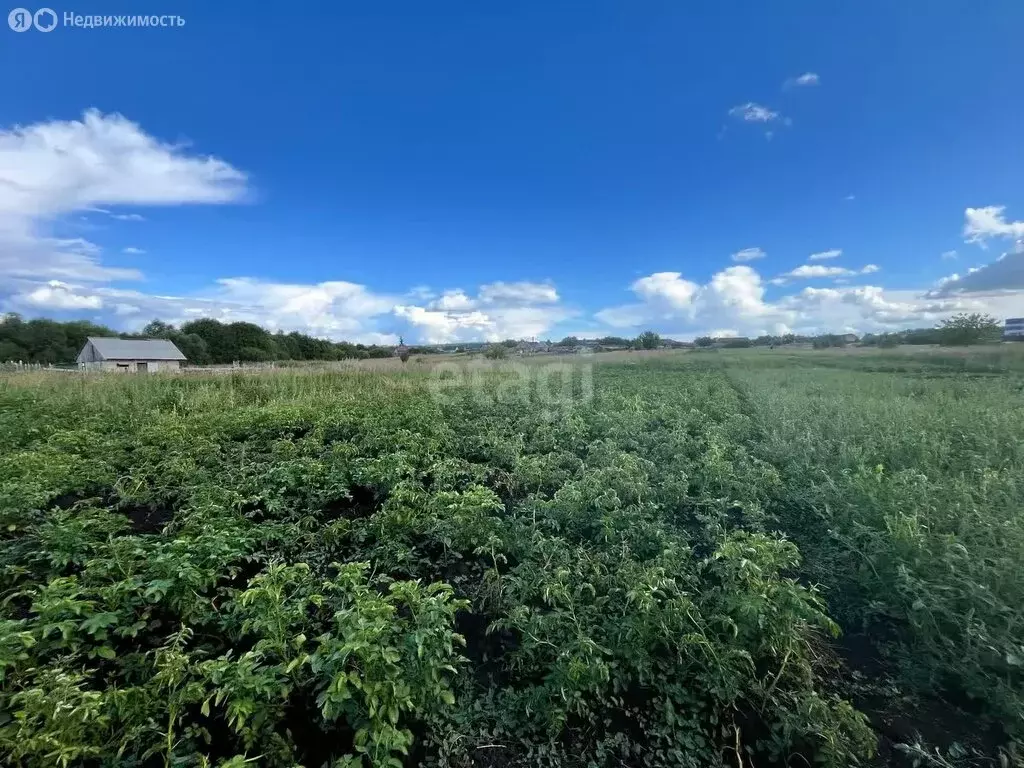 Участок в село Подлесная Тавла, Московская улица (20 м) - Фото 1