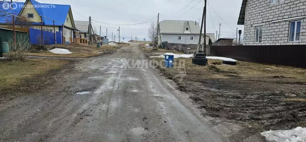 Участок в Новосибирская область, рабочий посёлок Колывань, улица ... - Фото 0