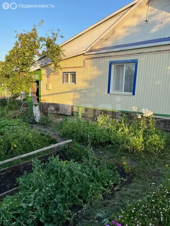 4-комнатная квартира: Ишимбай, Ишимбайская улица, 39 (77.8 м) - Фото 2