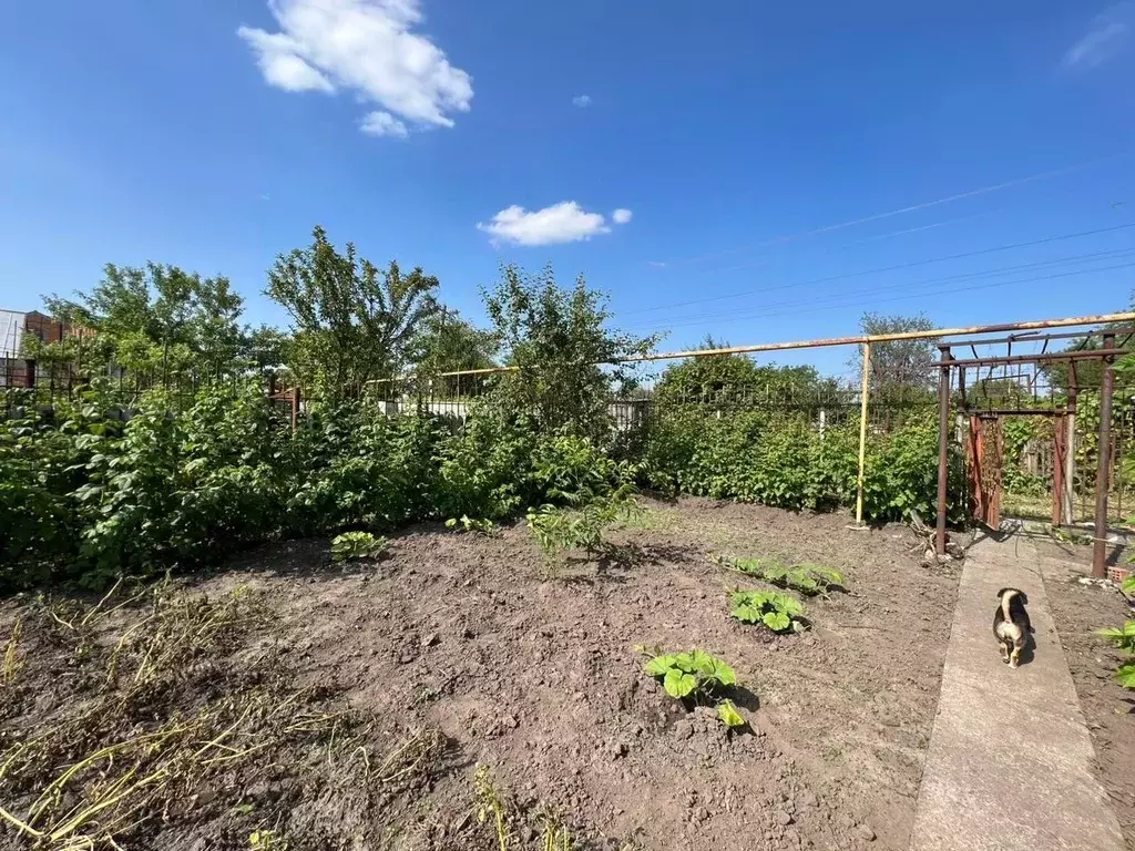 Участок в Северная Осетия, Владикавказ Дружба садовое товарищество,  ... - Фото 2